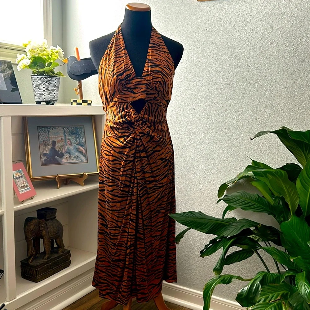 NWT Beautiful Anthropologie tiger stripe print dress with Keyhole bodice size S - Picture 1 of 6